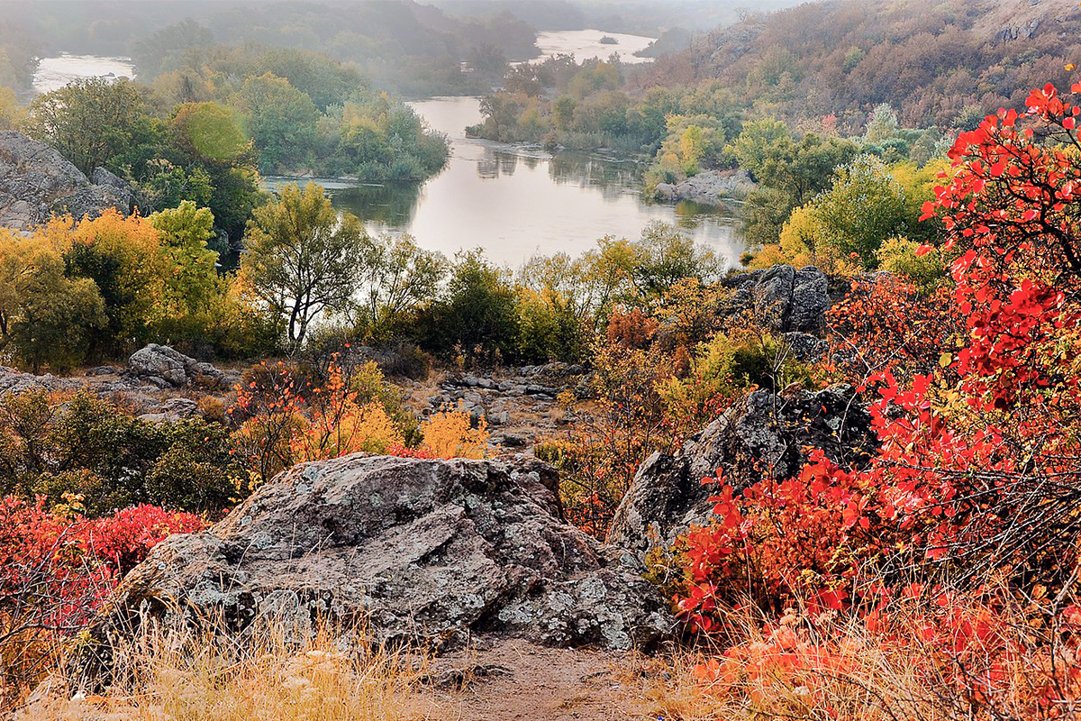 European Parliament Adopted The EU Nature Restoration Law Ukrainian