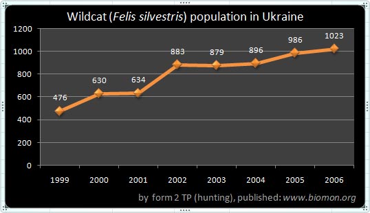 3_15_felis_silvestris.jpg