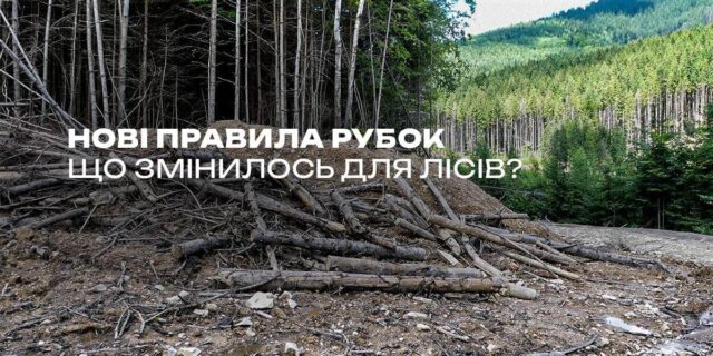 photo_2025-06-19_09-56-50-1200×600