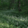 100 Years of State Nature Conservation in Ukraine