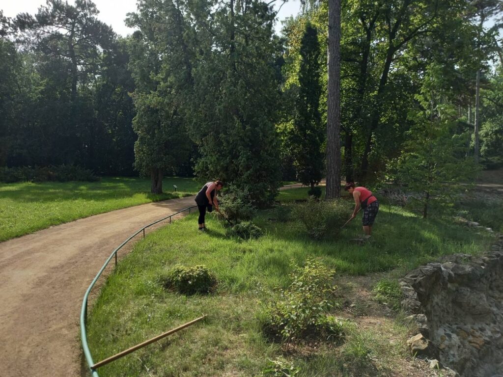 Dendropark Askaniia-Nova