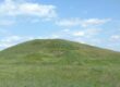 Five new protected areas have been established in the Kherson Region