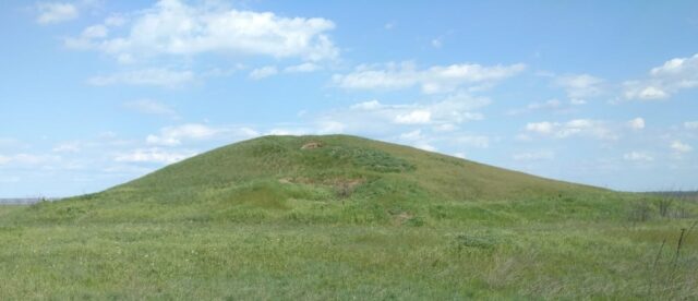 Five new protected areas have been established in the Kherson Region