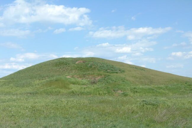 Five new protected areas have been established in the Kherson Region