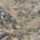 A New Protected Area Established in Vinnytsia Oblast to Conserve the European Ground Squirrel