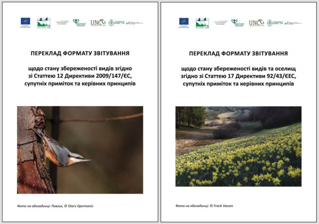 pereklad-formatu-zvit-12-17-stattia