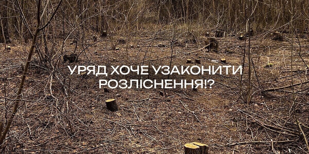 rozl_site.jpg