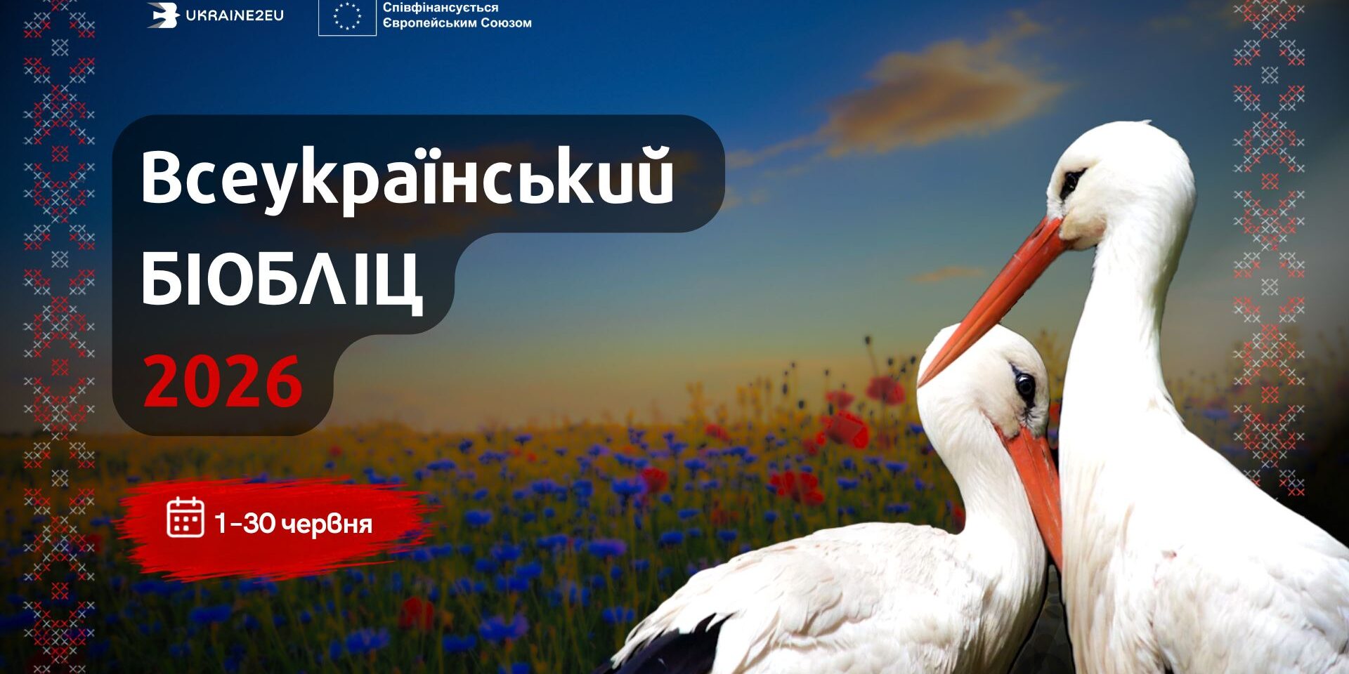 Всеукраїнський БІОЛБЛІЦ 2026: проміжні результати