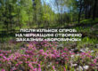 На Черкащині створено ландшафтний заказник «Боровичок» площею 85 гектарів