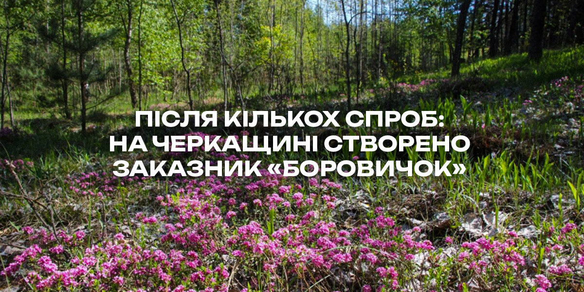 borow_site.jpg На Черкащині створено ландшафтний заказник «Боровичок» площею 85 гектарів