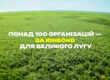 Понад 100 організацій — за ЮНЕСКО для Великого Лугу