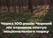 Через 100 років: Чорний ліс отримав статус національного парку