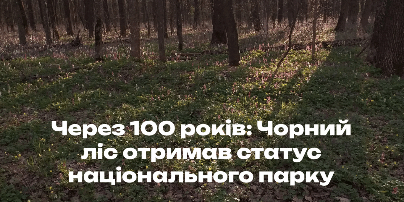 чорний ліс 44 Через 100 років: Чорний ліс отримав статус національного парку