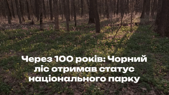 Через 100 років: Чорний ліс отримав статус національного парку