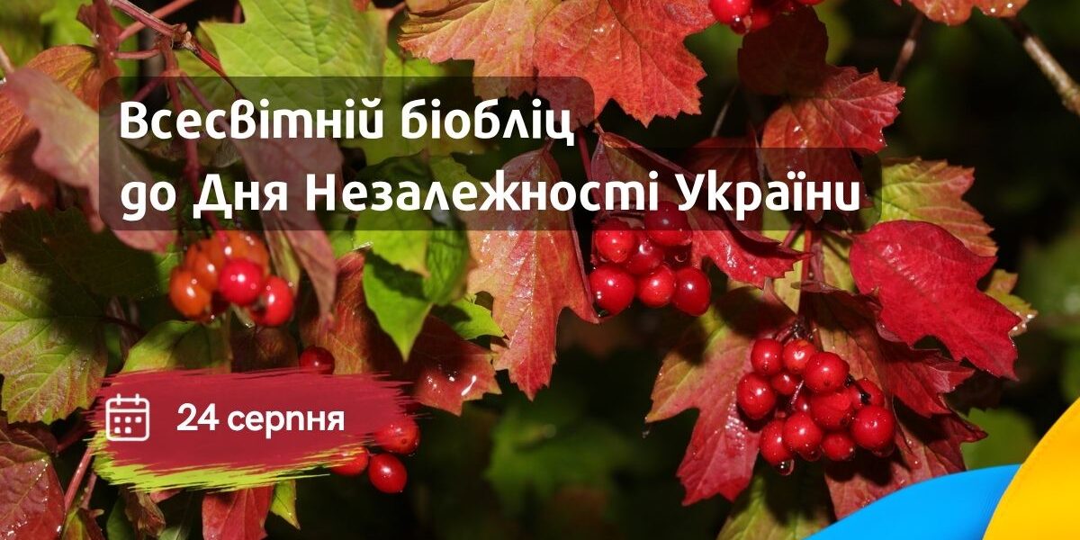 Independens Day of Ukraine 1200 x800