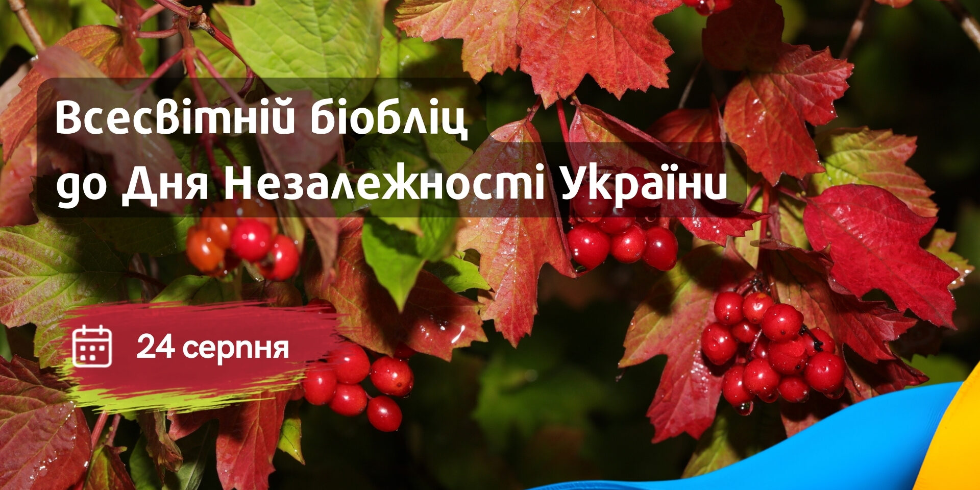 Біобліц до Дня Незалежності України