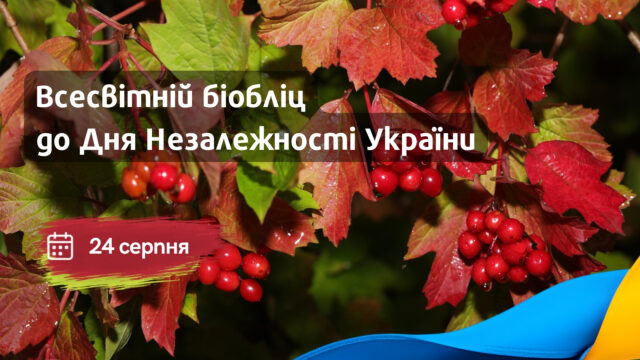 Біобліц до Дня Незалежності України
