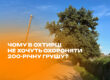 Чому в Охтирці не хочуть охороняти 200-річну грушу?