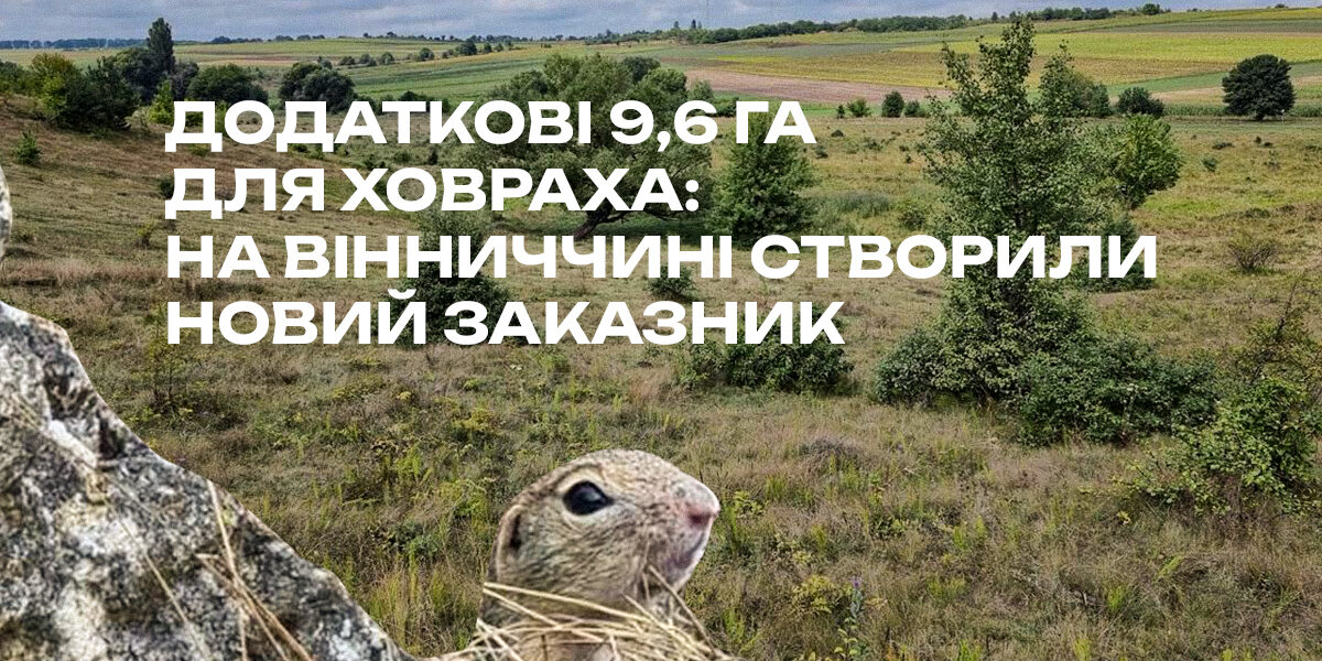 howr_ – 27 серпня 2026 16.34.19site.jpg На Вінниччині створили заказник «Ховрашів'я» для збереження європейського ховраха