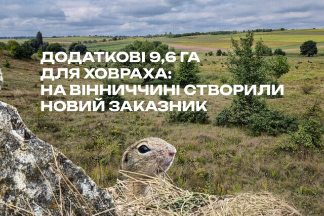 На Вінниччині створили заказник «Ховрашів'я» для збереження європейського ховраха