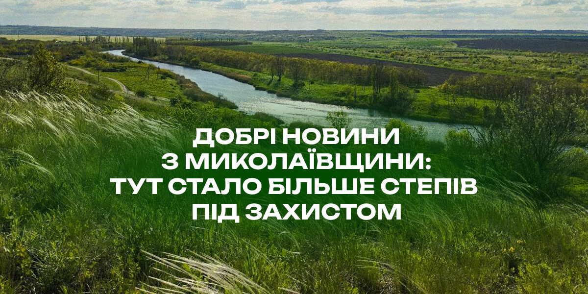 step_site.jpg На Миколаївщині створили три нові заказники для збереження степів