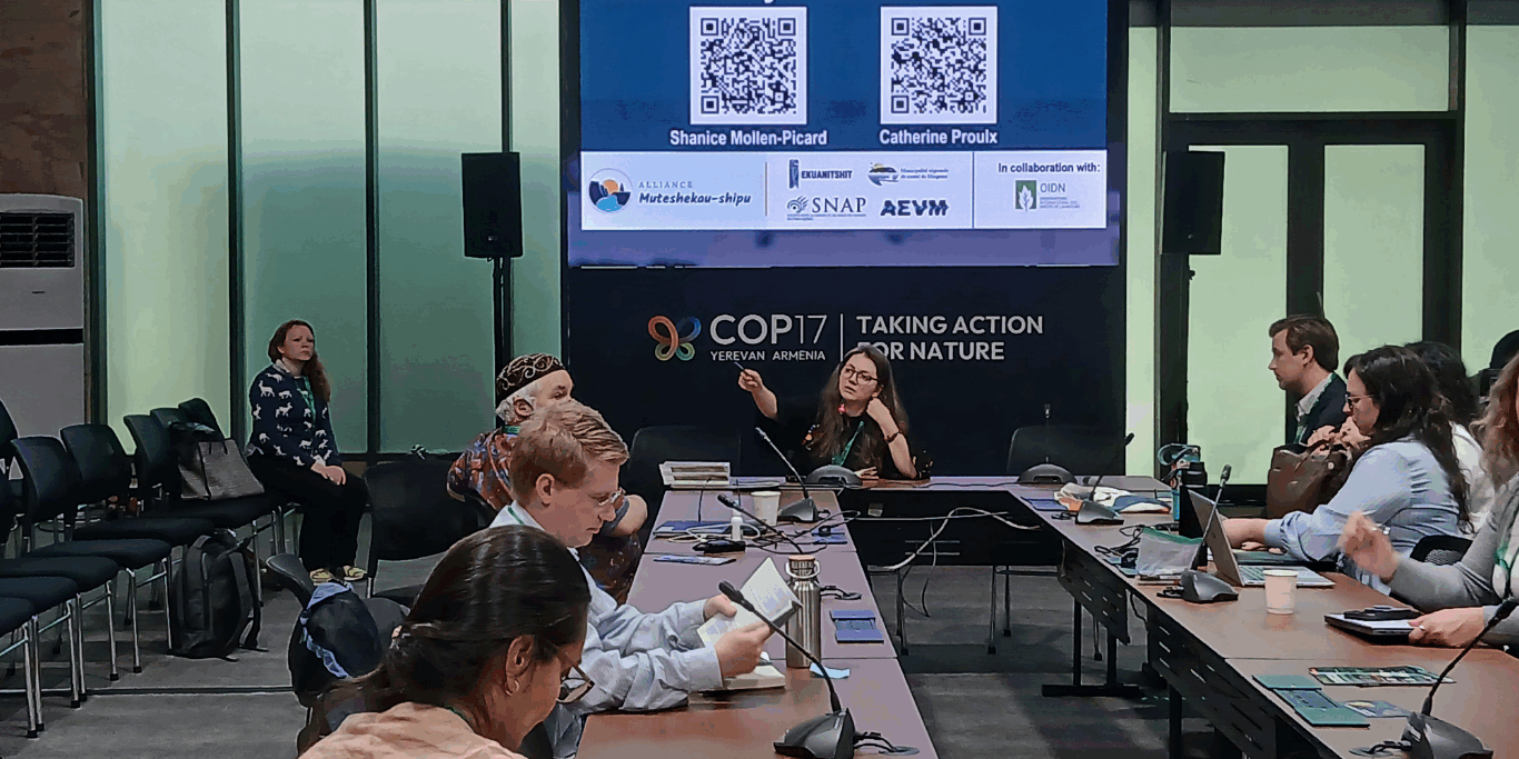 COP17 Як Україна відстоює інтереси природи на міжнародному рівні: досвід COP17 у Єревані