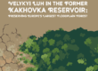 Velykyi Luh in the Former Kakhovka Reservoir: Preserving Europe’s Largest Floodplain Forest