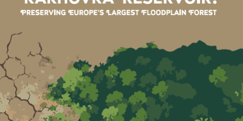 VelLuh Velykyi Luh in the Former Kakhovka Reservoir: Preserving Europe’s Largest Floodplain Forest